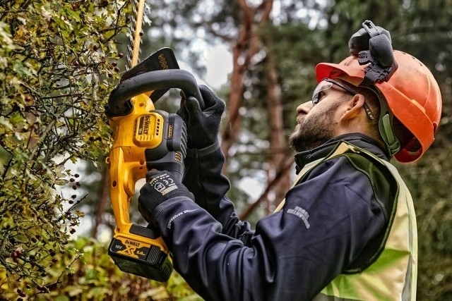 Reclaim Your Garden: Essential Gardening Tools