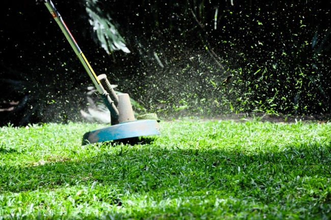 Best Cordless Strimmers in 2024 [+ Buying Guide]