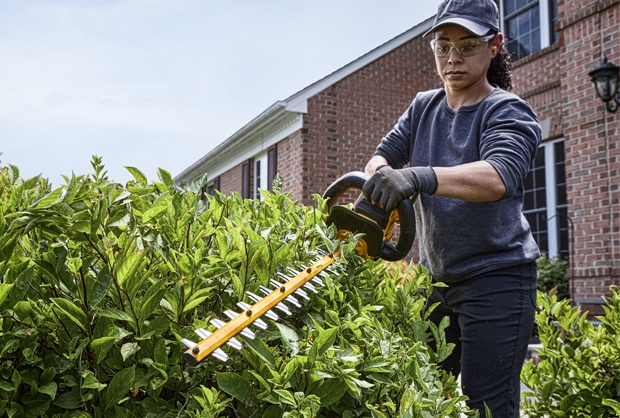 How to trim a hedge