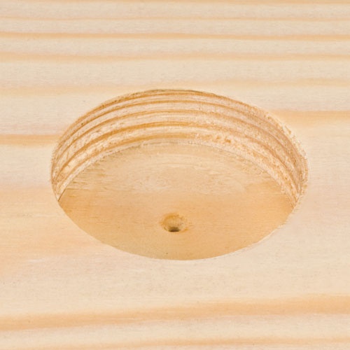 TREND - Snappy TREND Snappy - SNAP/FS/10 10mm x 80mm Forstner Bit